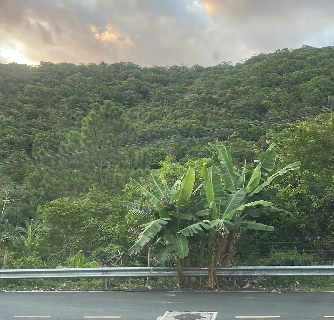 Balneário Camboriú Quarto Na Casa Da Mata. 아파트 Balneário Camboriú